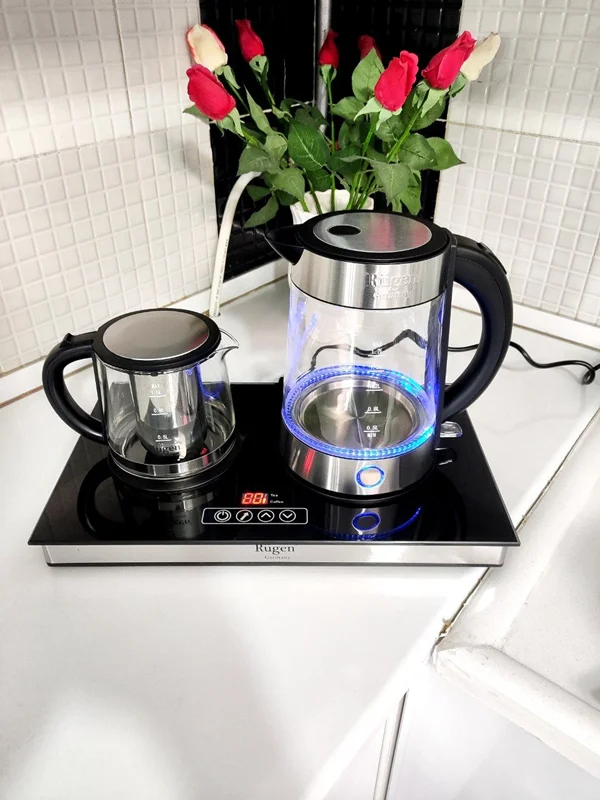 چایساز روگن مدل 1520